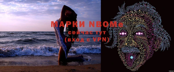 гашик Балахна